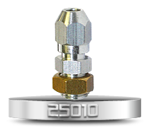 25010