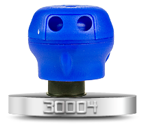 30004