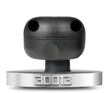 30013