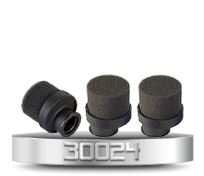 30024